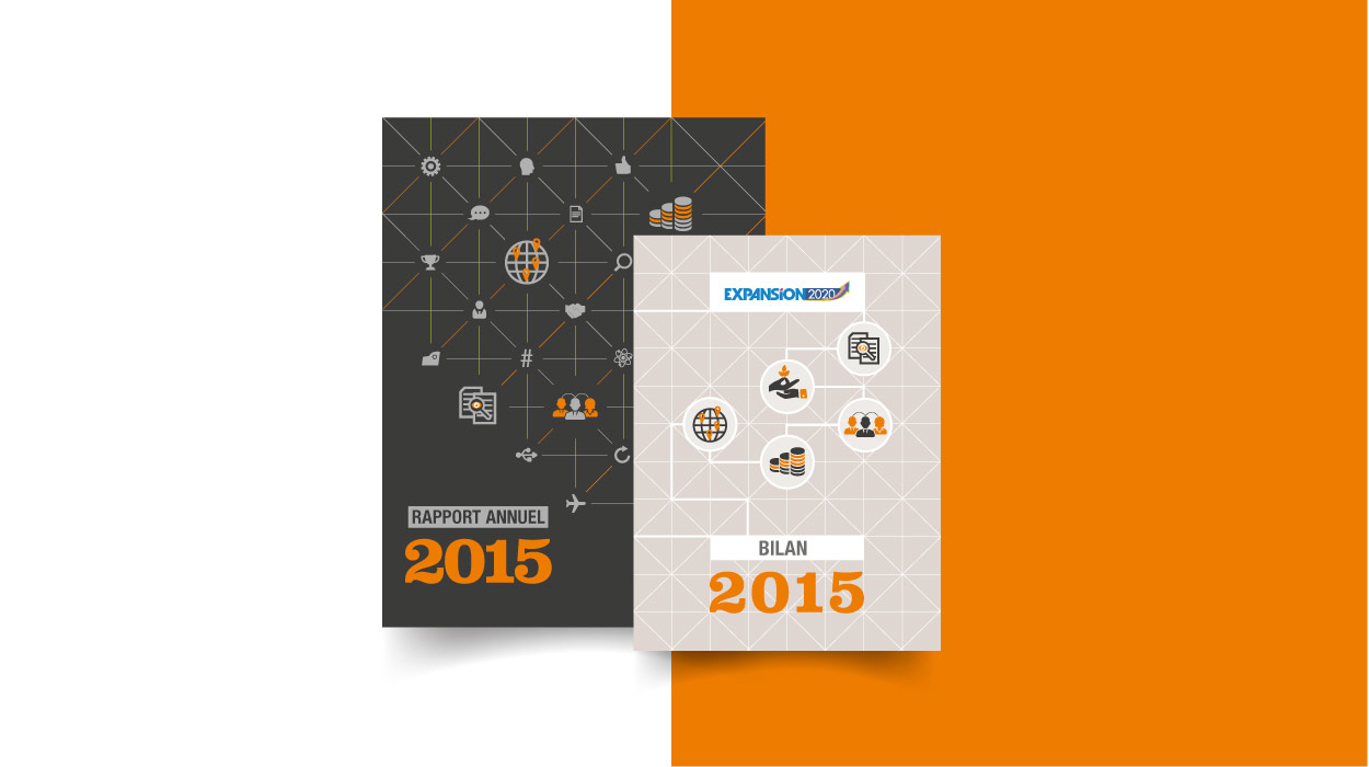 SNDEC, RAPPORT ANNUEL 2015